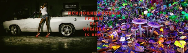 Альфа ПВП Покров