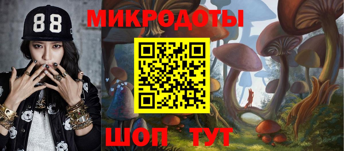 Галлюциногенные грибы Psilocybine cubensis Магнитогорск